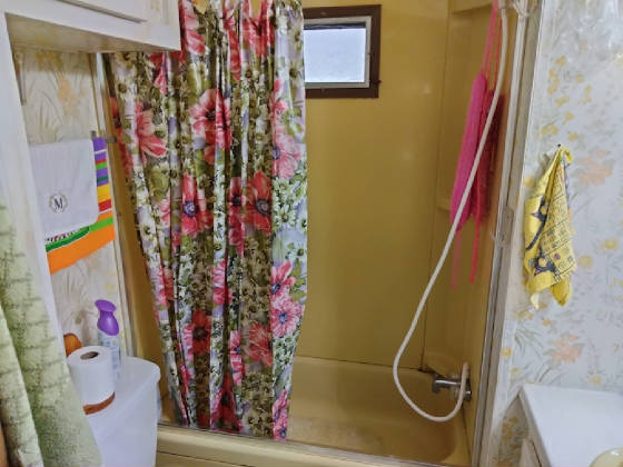 1009bathshwr.jpg