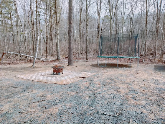 1215preserve.jpg