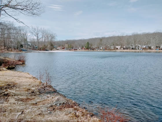 1766lakesouth.jpg