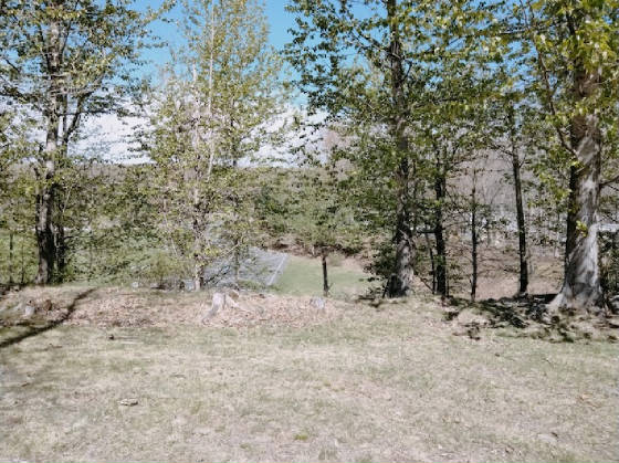 1925preserve.jpg