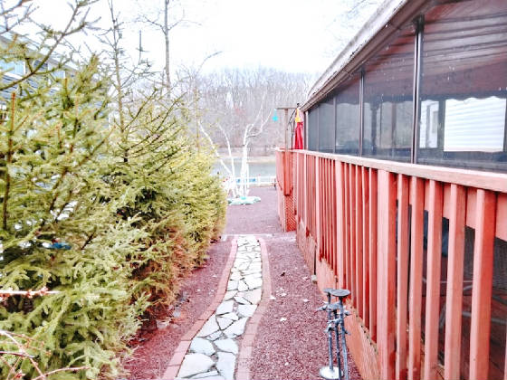 386lakewalkway.jpg